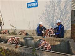 筑牢防寒防线 保障冬季供水